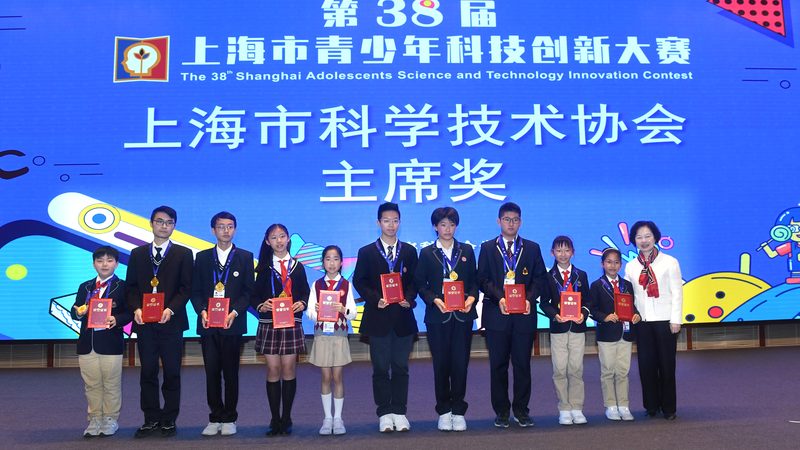 动态图表数据可视化：核心实现与关键要素