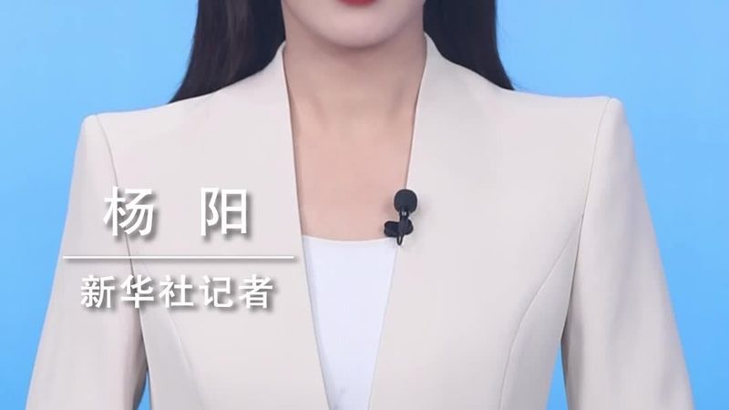 金融系统外包服务商：如何选择值得信赖的合作伙伴**